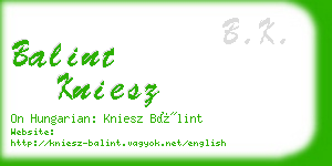 balint kniesz business card